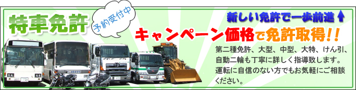 夏の特車免許