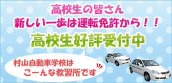 夏の特車免許